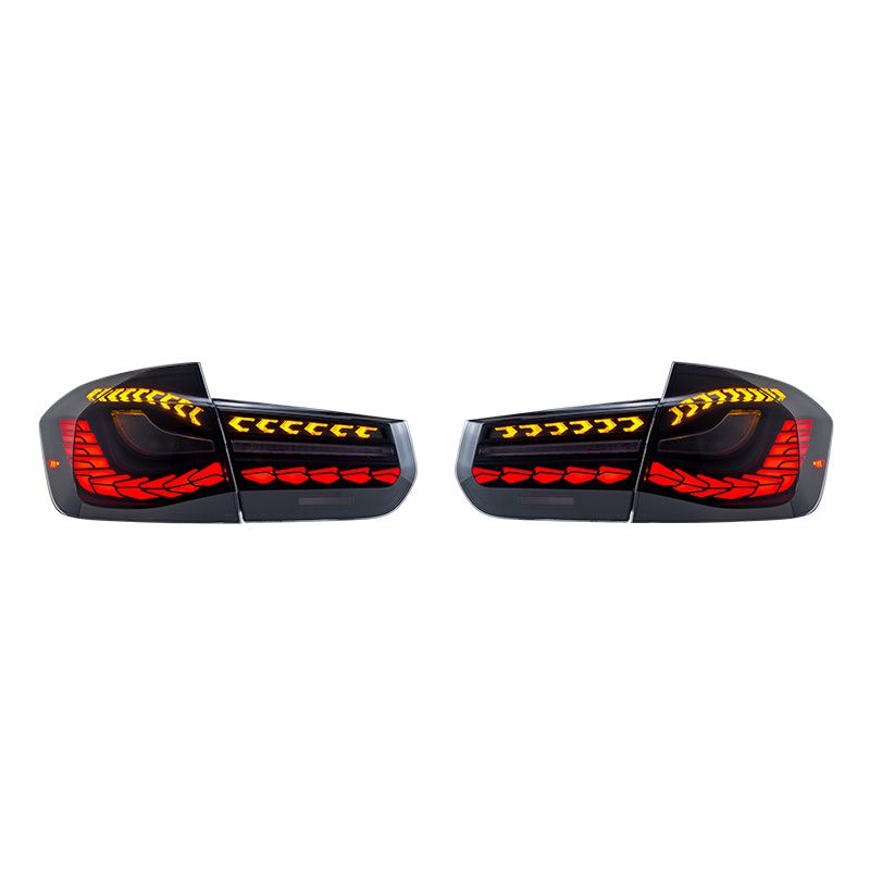 BMW 3 Series 12-18 Tail Lights (Double Dragon Scales)
