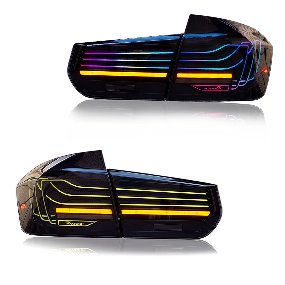 BMW 3 Series 12-18 Tail Lights
