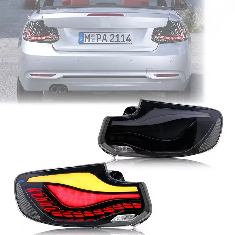 BMW 2 Series 2014-2021 Dragon Scales Tail Lights